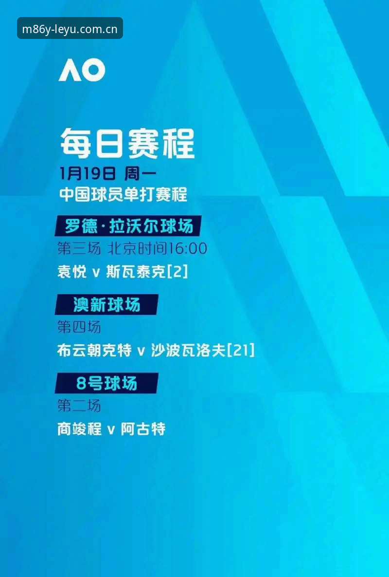 年度原创主张海外华人赛事数据使用详解：从安装到分析的完整指南